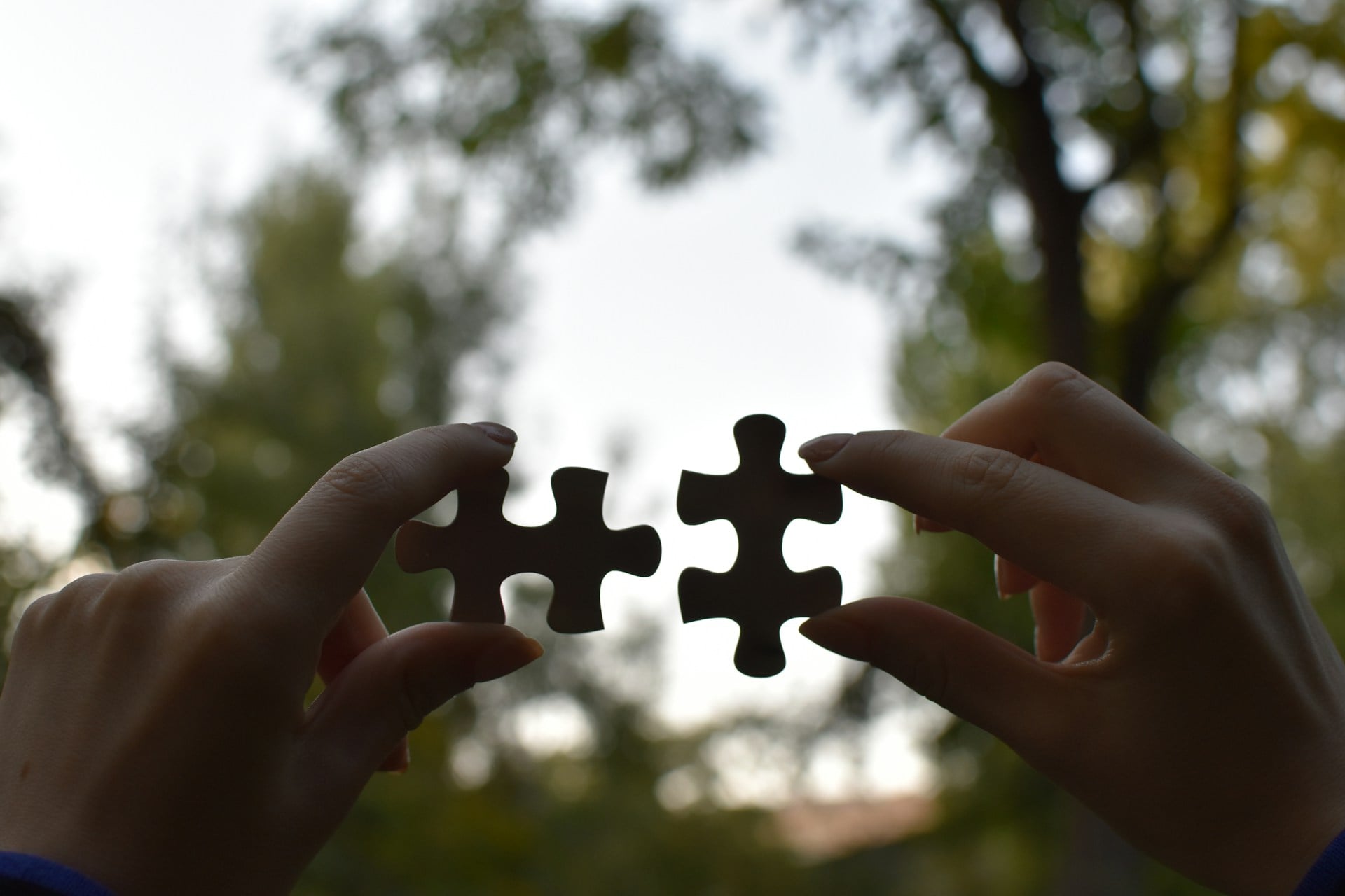 business platform integrations